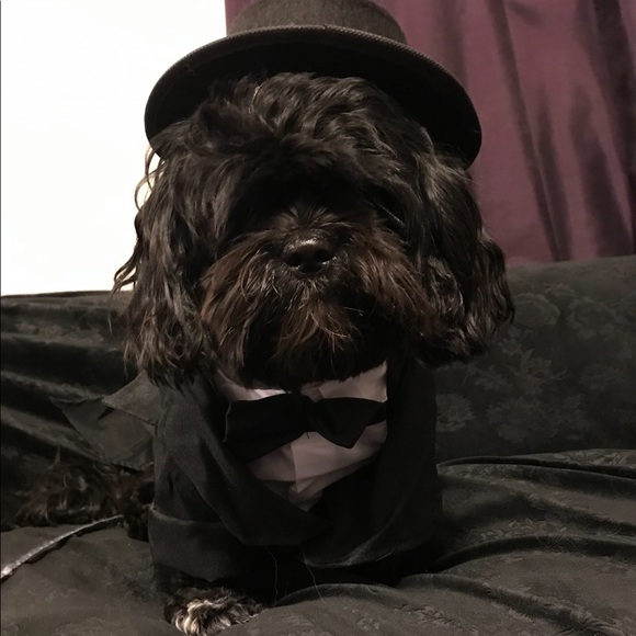 Meet your Posher, Angi - Picture 1 of 16